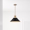 Nuvo Outpost 1-Light Large Pendant Matte Black with Burnished Brass 60/7525 - alternate 2